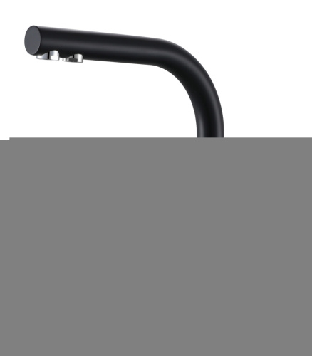 Смеситель для кухни Paulmark ESSEN Es213011-AN на мойку черный